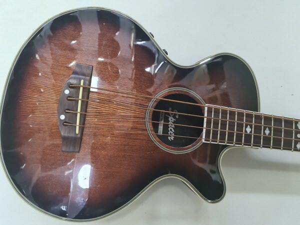 Farida Acoustic Guitar WS 600 LM